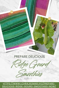 How-To Cook A Delicious Ridge Gourd Smoothies Recipe Now