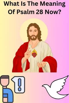 Seeking Refuge: A Meditation on Psalms 28 Now