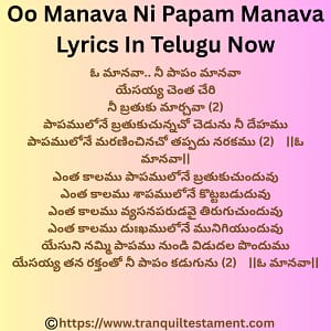 ఓ మానవా... నీ పాపం మానవా యేసయ్య చెంత చేరి నీ బ్రతుకు మార్చవా song lyrics